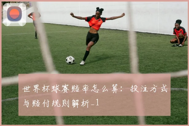 世界杯球赛赔率怎么算：投注方式与赔付规则解析_1