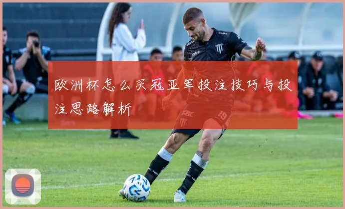 欧洲杯怎么买冠亚军投注技巧与投注思路解析