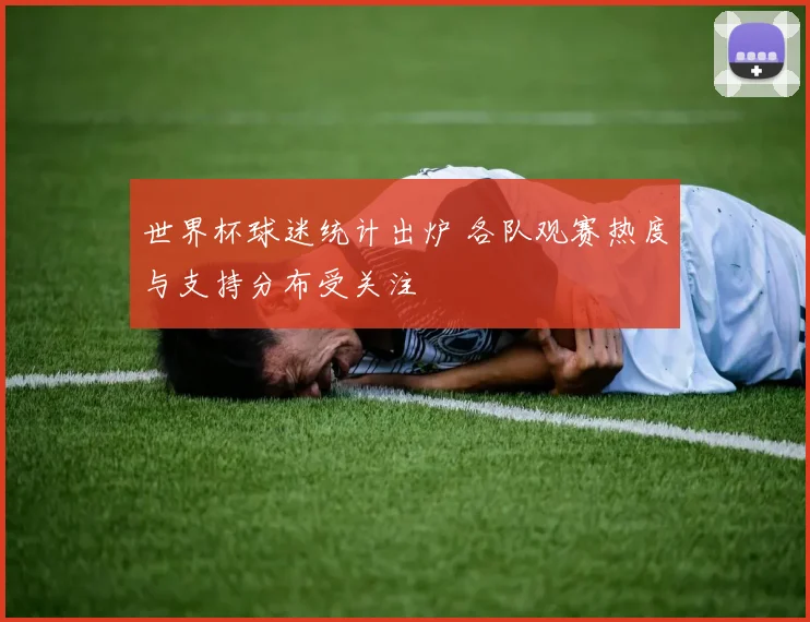 世界杯球迷统计出炉 各队观赛热度与支持分布受关注