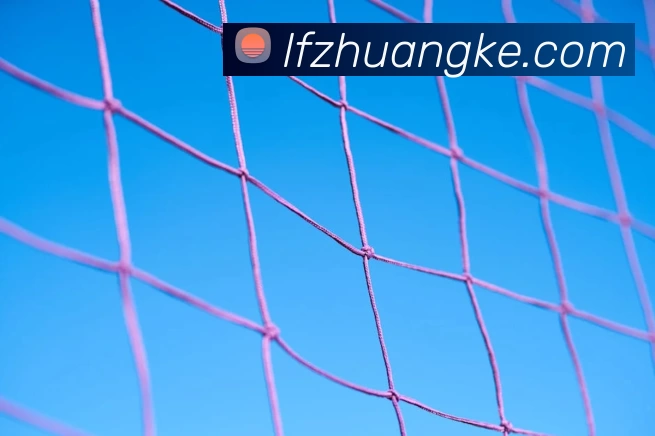 俄罗斯世界杯中国官网服务体系